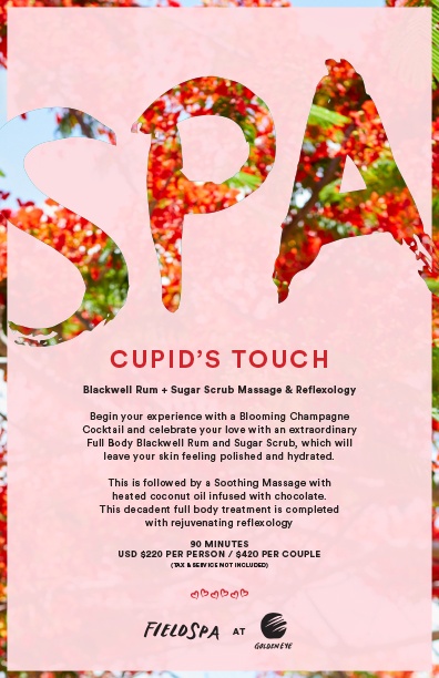 valentines day spa specials 2025